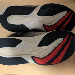 瞬足21.5センチの画像