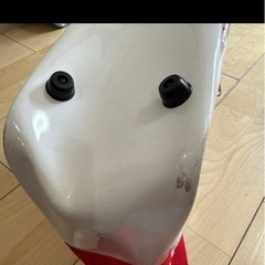 ルネサンス　スイミングバックの画像