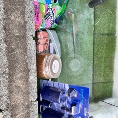 60cmオールガラス水槽セットの画像