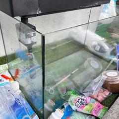 60cmオールガラス水槽セットの画像