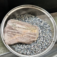 60cmオールガラス水槽セットの画像