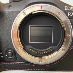 Canon eorR7ボディの画像