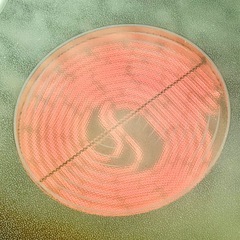 TOYO21 「達人 TATSUJIN」卓上型ラジエントクッキングヒーターの画像