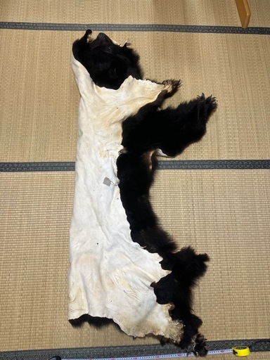 熊の毛皮