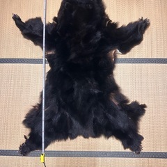 熊の毛皮の画像