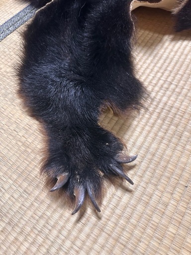 熊の毛皮