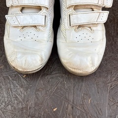 ミズノ　ポイントスパイク　26.0cmの画像