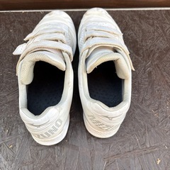 ミズノ　ポイントスパイク　26.0cmの画像