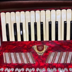 【激安‼️早い者勝ち‼️】トンボ　アコーディオン271の画像