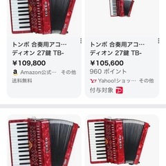 【激安‼️早い者勝ち‼️】トンボ　アコーディオン271の画像