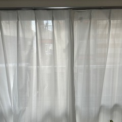 【ニトリ】レースカーテン単品の画像