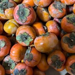 柿　かき　　の画像