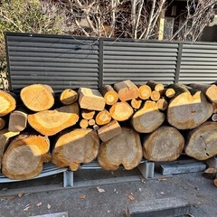 桜、欅、松原木玉切販売
の画像