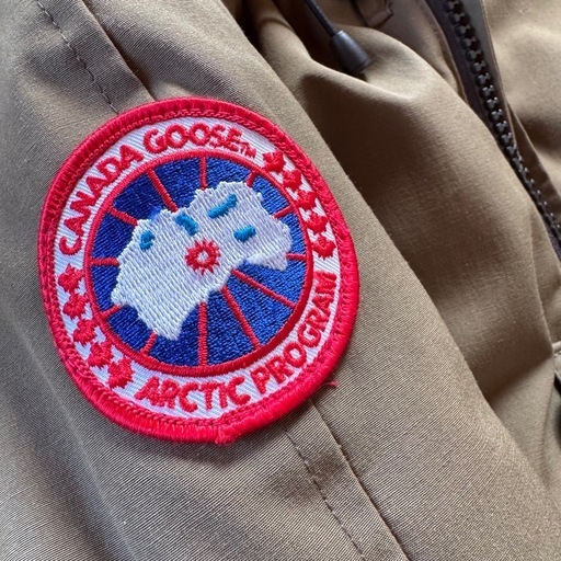 美品✨旧タグレア　男女兼用　CANADA GOOSE チリワックボンバー