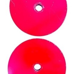 Ivanko イバンコ　 パワーリフティングプレート　25kg 2枚の画像