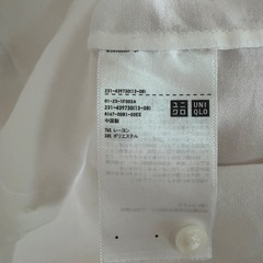 レディース　シャツの画像