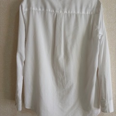レディース　シャツの画像