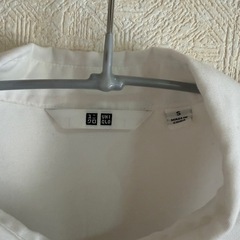 レディース　シャツの画像