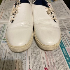 決まりました。く靴の画像