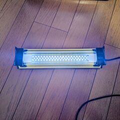 30cm　水槽用LED照明　ゼンスイ製　取りに来られる方の画像