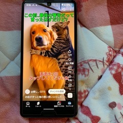 AQUOS Sense4の画像