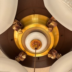 応接間の豪華なシャンデリアの画像