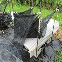 【大】西洋蜜蜂巣箱【置くだけの商品に成ります】（蜜蝋塗有り（巣枠・巣楚組み立て済・巣箱＋巣枠5+巣楚5) 無料・蜜蝋塗り有りの画像