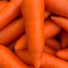 訳あり人参🥕10kg  安い！！の画像
