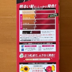 新品 メイクアップカラー ワイルドレッドの画像