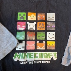 マイクラのロンT130センチの画像