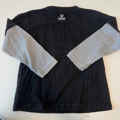 マイクラのロンT130センチの画像