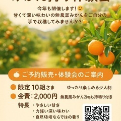 大自然をそのままに🍊河内みかん狩り体験会