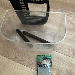 カブトムシ育成セットの画像