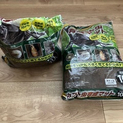 カブトムシ育成セットの画像