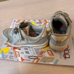 エルサの靴17センチの画像