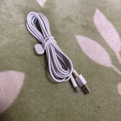 i Phone ライトニングケーブル　2本の画像