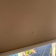 ロールスクリーンの画像