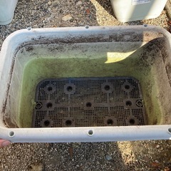 プランター6個の画像