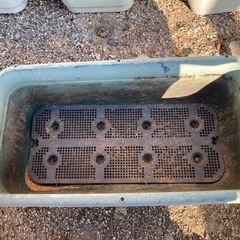 プランター6個の画像