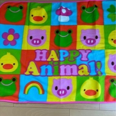 4枚セットブランケットの画像