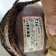 泡盛　未開封の画像