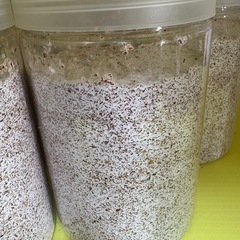 菌糸ブロック　菌糸ボトルの画像