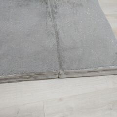 購入したばかりの折り畳み座椅子(アイリス)、折り畳みマットレス(ニトリ)の画像