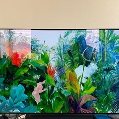 LG製有機ELテレビ55型の画像