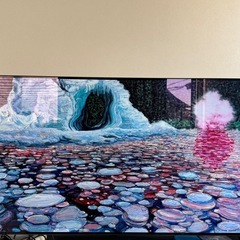 LG製有機ELテレビ55型の画像