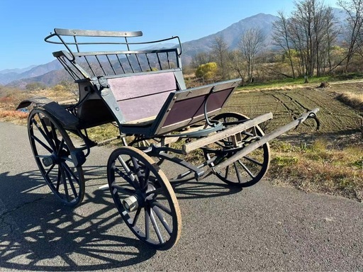 フランス输入馬車