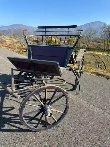 フランス输入馬車