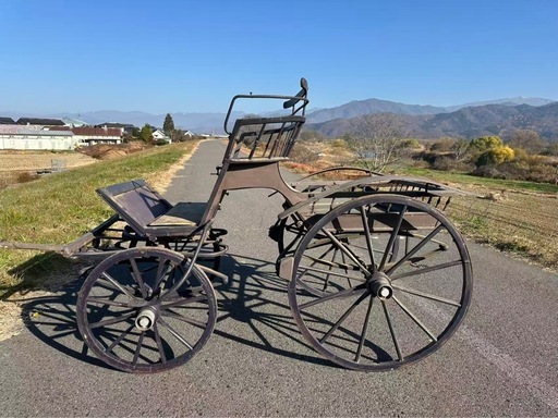 フランス输入馬車