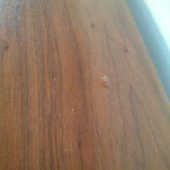 ニトリ、ベンチチェア（破損あり）の画像