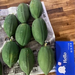 庭で取れたパパイヤ（野菜）の画像